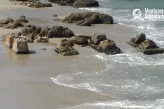 The rocky coast of Monterey Bay. 