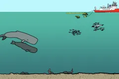 Illustration from video showing whales and fish underwater near an oil rig. 