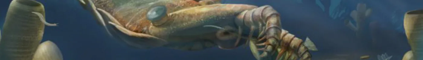 Illustration of an extinct tentacled sea creature. 