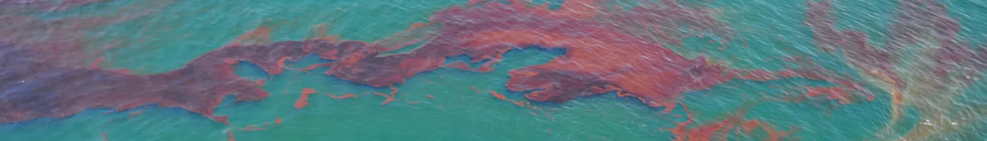 Top down view of oil slick on the ocean's surface. 