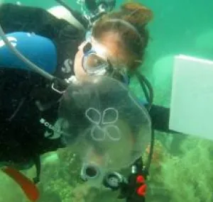 Amanda Bushell SCUBA diving with a jellyfish