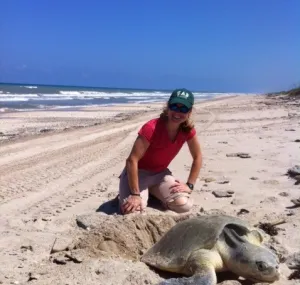 Elizabeth Bevan sitting on the beach with a sea turtle.