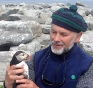 Stephen Kress holds a puffin in his hands.