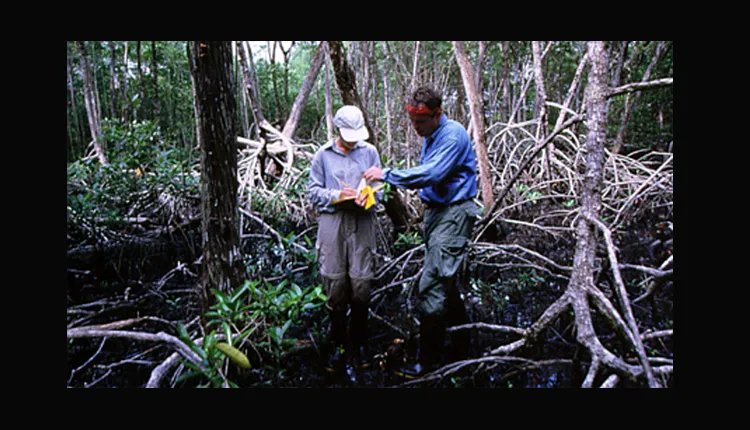 At the Smithsonian Tropical Research Institute in Panama, Dr. Wayne Sousa (right) studies lightning impacts.