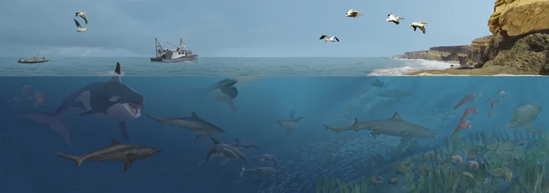 An illustration depicting many sea animals living in the modern seas off Angola.