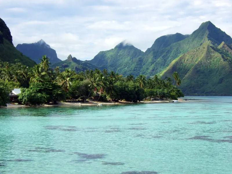 On Moorea, an island in French Polynesia, researchers are striving to complete a biocode—a DNA catalog of every life form big enough to pick up with tweezers.