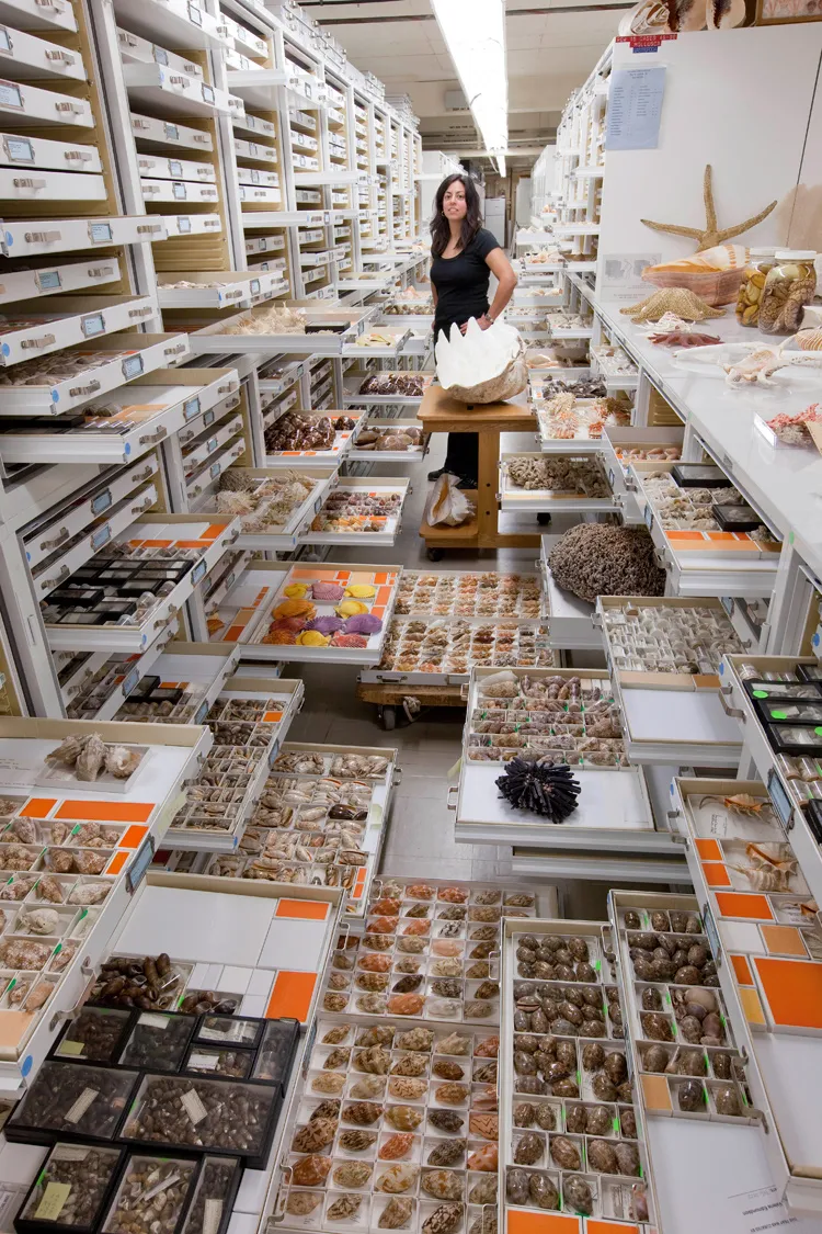 Yolanda Villacampa, Museum Specialist - Invertebrate Zoology, Smithsonian's National Museum of Natural History