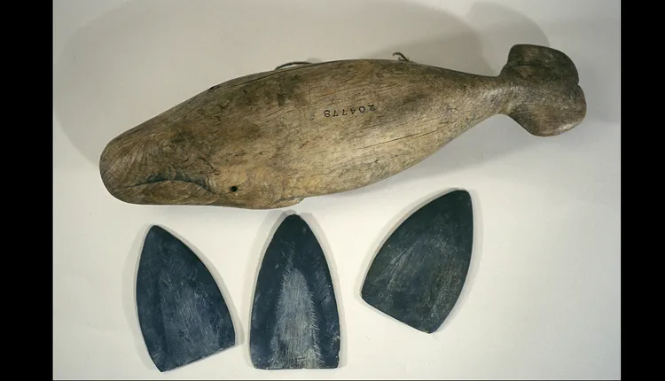 During whale hunts, this carved whale box stored harpoon blades like the three shown beside it.
