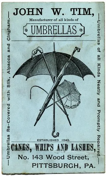 Whalers hunted right whales for baleen, which was used in a variety of commercial products such as umbrellas and whips.