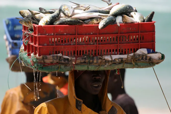 Unloading the Day’s Catch in Senegal