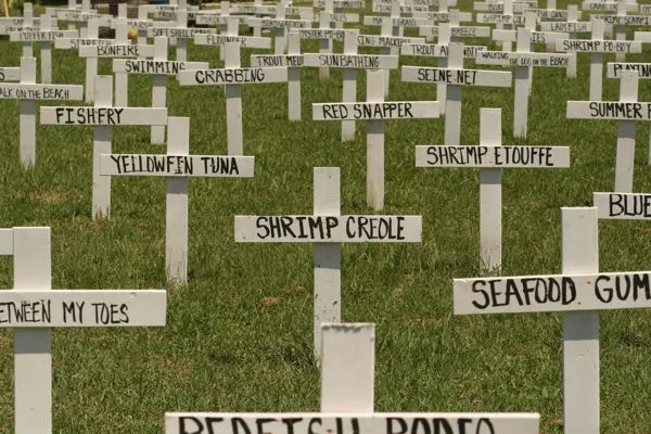 A Fish Graveyard