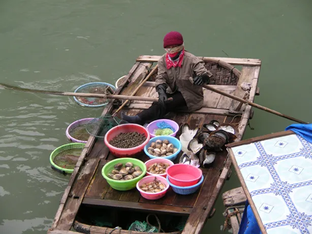 Fresh Shellfish for Sale in Vietnam