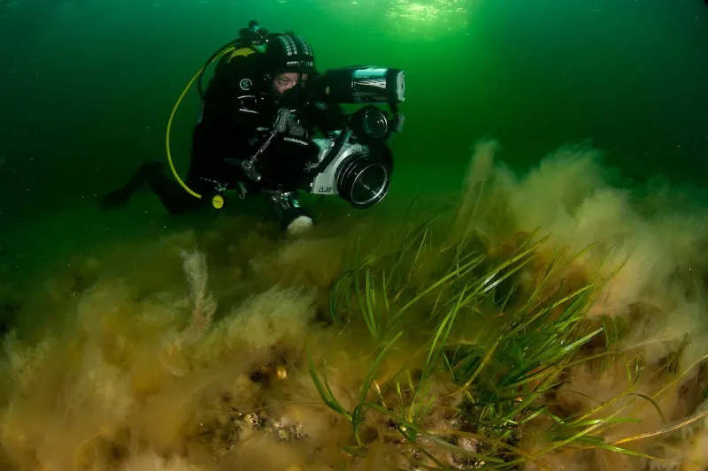 An Underwater Photographer Battles the Baltic's Cold Waters A SCUBA diver in taking photographs in the Baltic Sea.