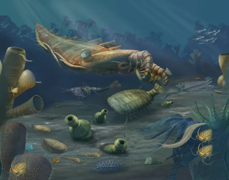 A rendering of an underwater marine scene from the Cambrian Period, featuring an arthropod, annelids, and other animals.