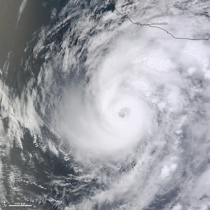 Hurricanes hurt humans and marine life.