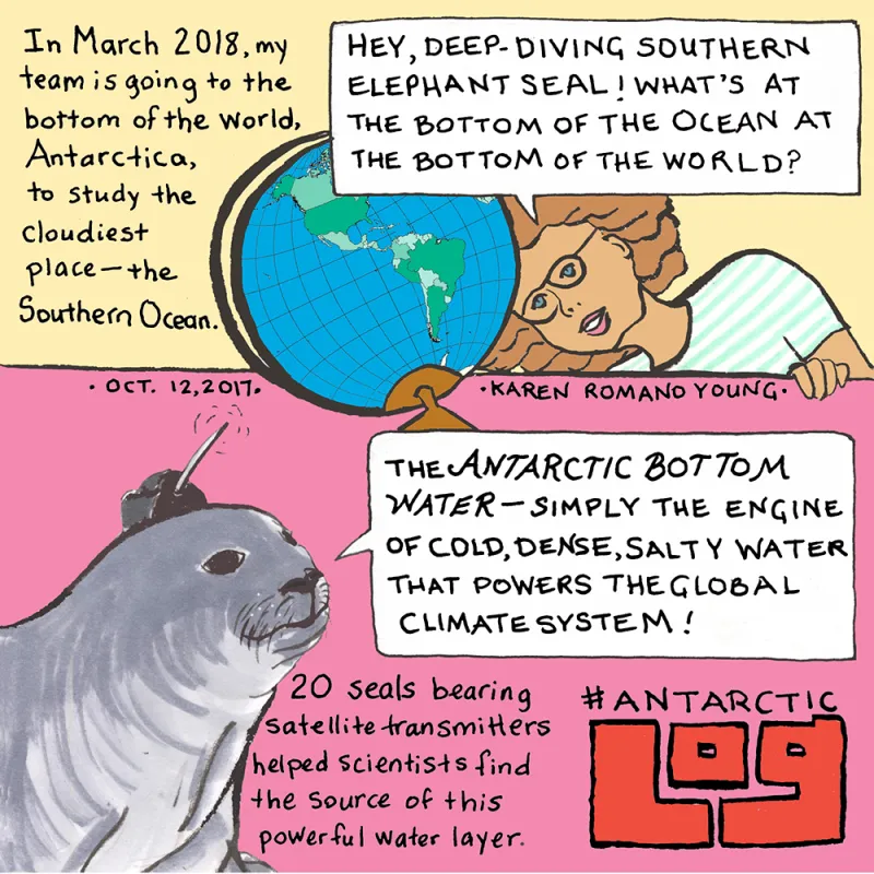 Karen Romano Young's 19th AntarcticLog comic