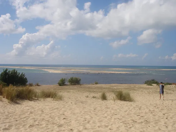 The Banc d'Arguin National Park site in Mauritania was inscribed on the World Heritage List in 1989. Fringing the Atlantic coast, the park comprises sand dunes, coastal swamps, small islands, and shallow coastal waters. A wide variety of migrating birds sp