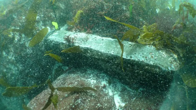 A bar underwater at a shipwreck site