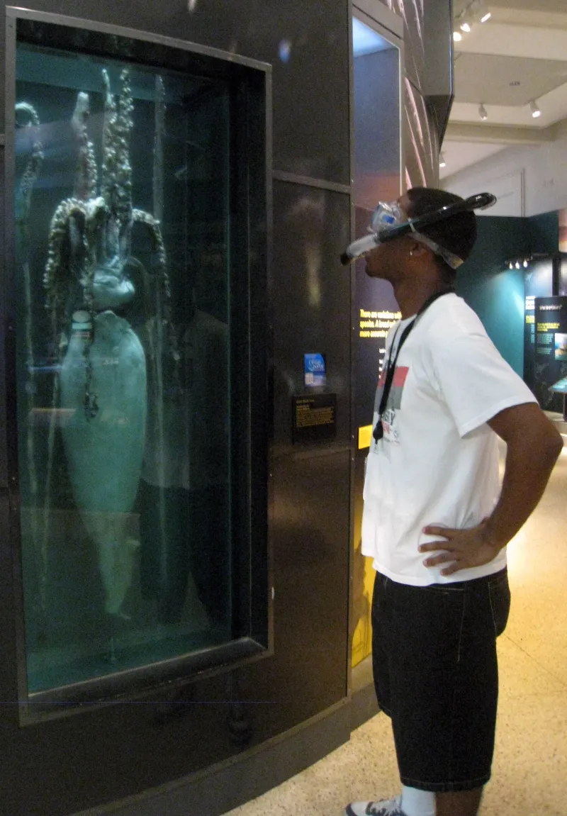 a photo of Ocean Portal intern Brandon adkins in snorkel gear looking at a preserved giant squid in the Smithsonian's Sant Ocean Hall