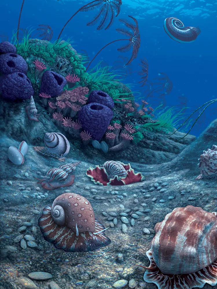 Snails at the bottom of the ocean in a Carboniferous Period
