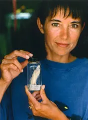 Dr. Carole Baldwin is Curator of Fishes at the National Museum of Natural History.