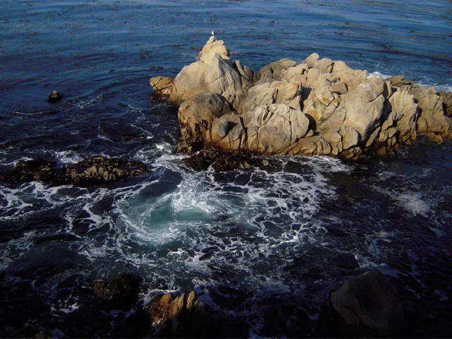 A bird sits atop an outcrop of rocks surrounded by turbulent water. 