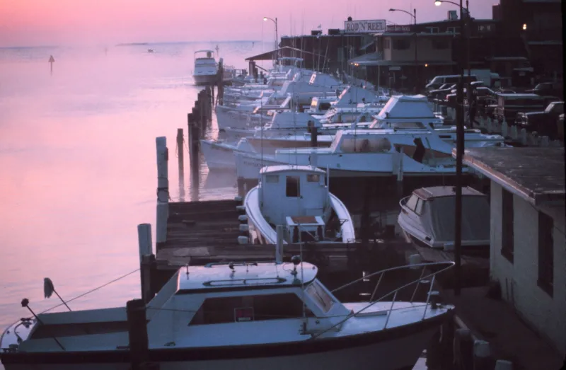 Boats docked in a Chesapeake Bay harbor