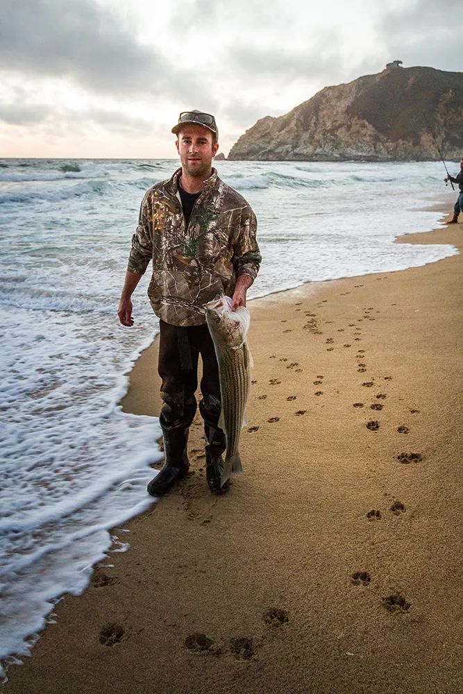 A fisherman stands on the ocean's edge holding a striped bass. 
