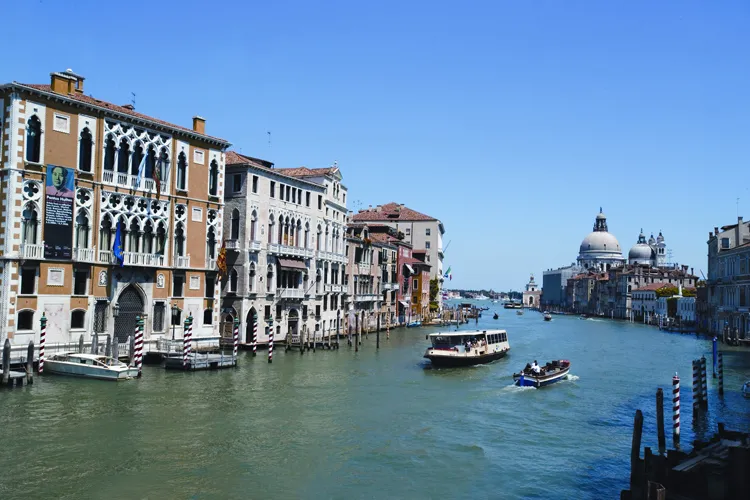To protect Venice from rising seas, Dimitri Deheyn (Scripps Institution/UC San Diego Sediment Research Group) studied the environmental impact of dredging sediment from the waterways.