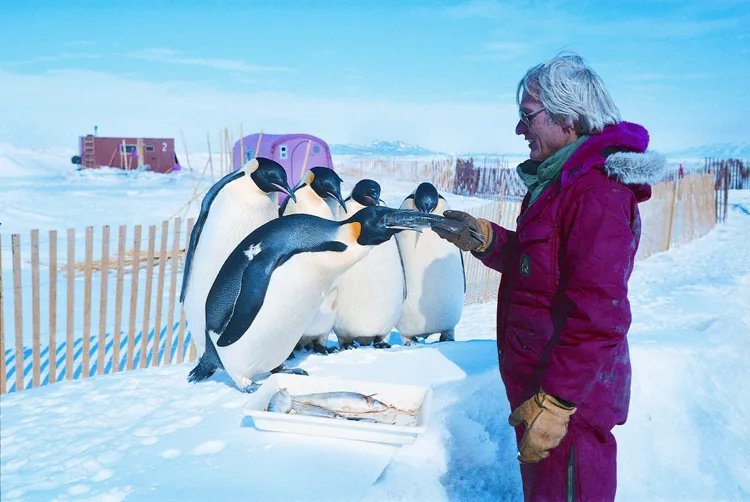 Marine biologist Gerald Kooyman of the Scripps Institution of Oceanography has documented climate-induced changes to emperor penguin habitats and impacts on how the penguins feed, breed, and raise their young.