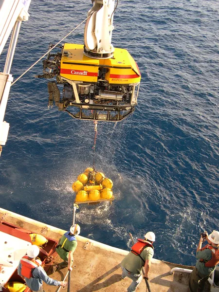 NOAA’s New Millennium Observatory was set up to study geologic, chemical, and biologic interactions along the mid-ocean ridge system. Here, a remotely operated vehicle (ROPOS) recovers a volcano monitor in the Juan de Fuca Ridge in the Pacific, west of Oregon.