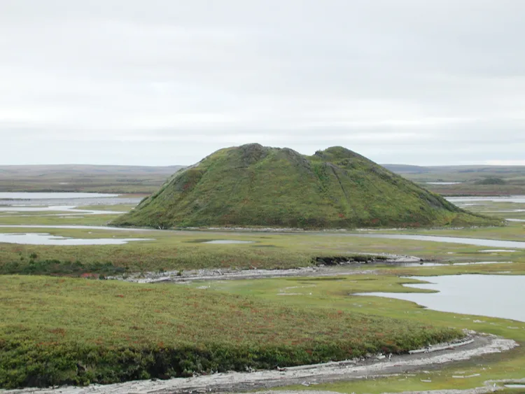 Geologist Charles Paull (Monterey Bay Aquarium Research Institute) investigates geologic features similar to pingos on the Arctic Ocean floor where methane bubbles through sediments and forms hundreds of low hills. On land, a pingo is a place where permafrost bulges beneath a dried lake bed like this one in northern Canada.