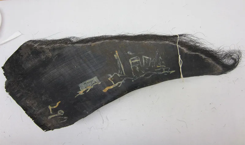 A baleen plate with a drawing of a ship in paint