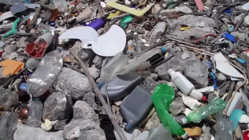 Plastic bottles and other marine debris cover a rocky beach in Curacao.