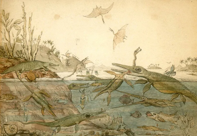 Although in reality an ichthyosaur and plesiosaur would have likely never battled, this widely shared lithograph by artist, geologist and paleontologist Henry De la Beche even inspired author Jules Verne to pen a similar scene in his book, Journey to the C