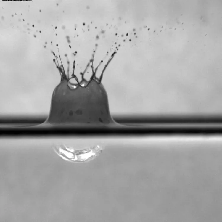 A raindrop falls into a surface oil slick treated with chemical dispersant.