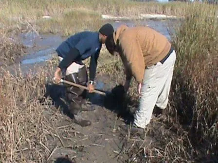 Students from the Dauphin Island Sea Lab delegation plant smooth cord grass in Mobile Bay, Alabama. Their project is addressing the impacts of rising sea levels on critical coastal habitats through both marsh restoration in the Mobile Bay area and educatio