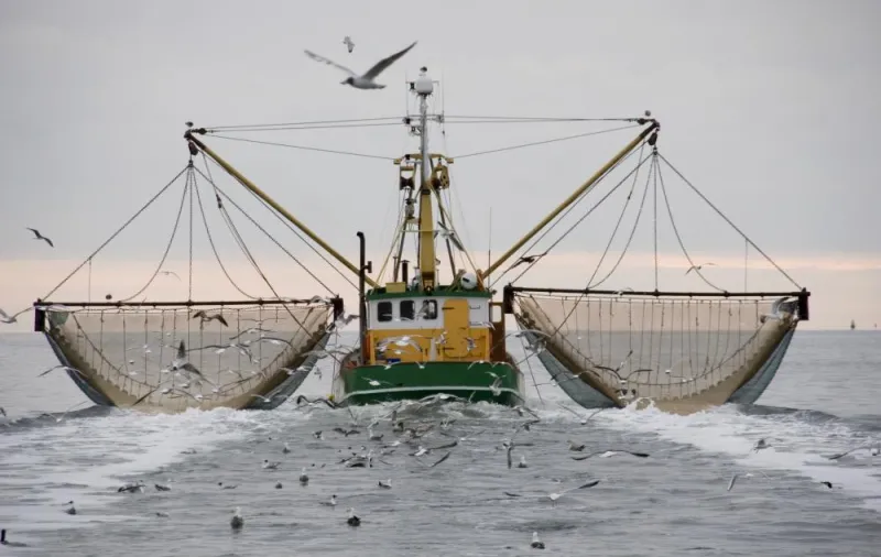 A shrimp boat fishes in the Gulf of Mexico 