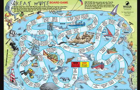 Come play in South Africa’s False Bay, where wild creatures roam.