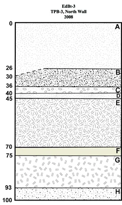 A diagram of the different soil layers located at Hare Harbor, Quebec in 2008.  Wood chips were located at the deepest layer, then whale bone, then codfish bones.