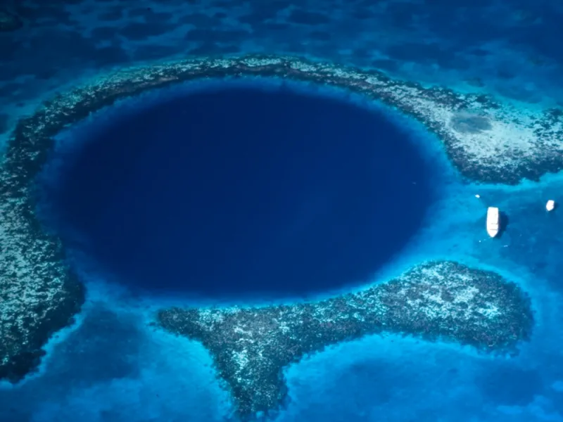 The Belize Barrier Reef Reserve System consists of the largest barrier reef in the northern hemisphere, offshore atolls, and several hundred sand cays, mangrove forests, coastal lagoons, and estuaries. The system's seven sites illustrate the evolutionary h