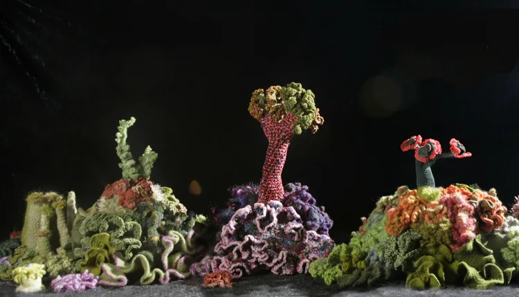 A piece of the Institute For Figuring’s Hyperbolic Crochet Coral Reef known as the Ladies Silurian Atoll.