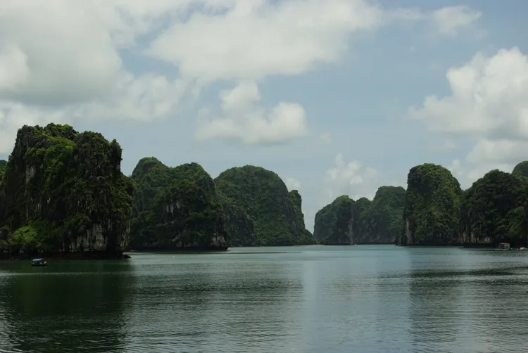 The Ha Long Bay site in Vietnam was inscribed on the World Heritage List in 1994. The site's 1,600 islands and islets form a spectacular seascape of limestone pillars surrounded by species-rich waters, including a tremendous diversity of marine algae and o
