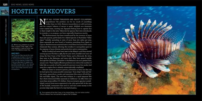 Photo Spread with lionfish from Citizens of the Sea