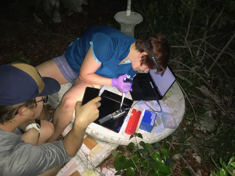 a scientist pipettes in the woods