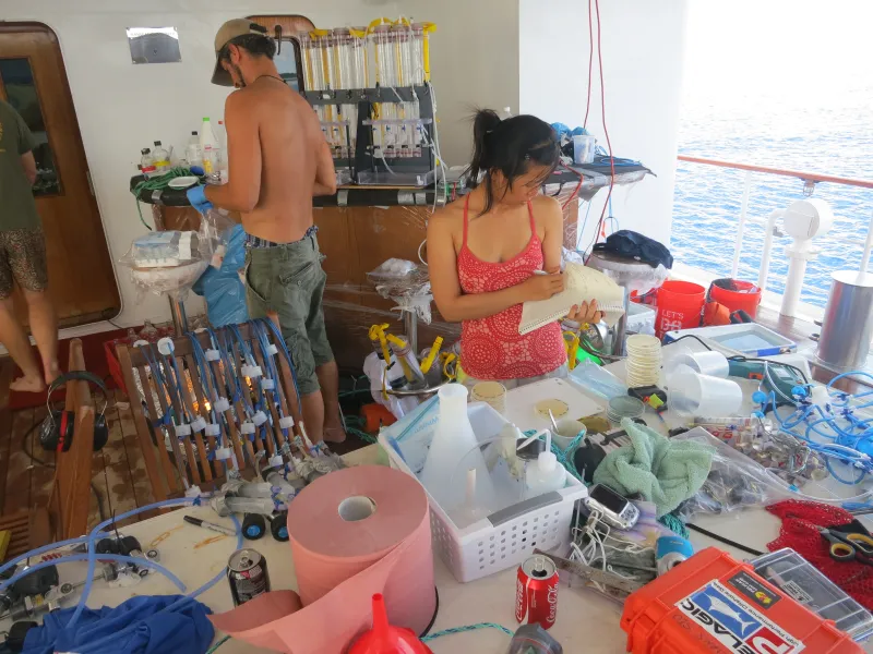 "Barely a room onboard escaped being turned into a part of the sequencing laboratory," wrote Rob Edwards in a blog post about doing genomic sequencing at sea.