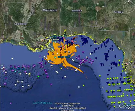 The National Museum of Natural History's Department of Invertebrate Zoology has developed an online map that provides information about invertebrates in the National Collection from areas impacted by the oil spill.