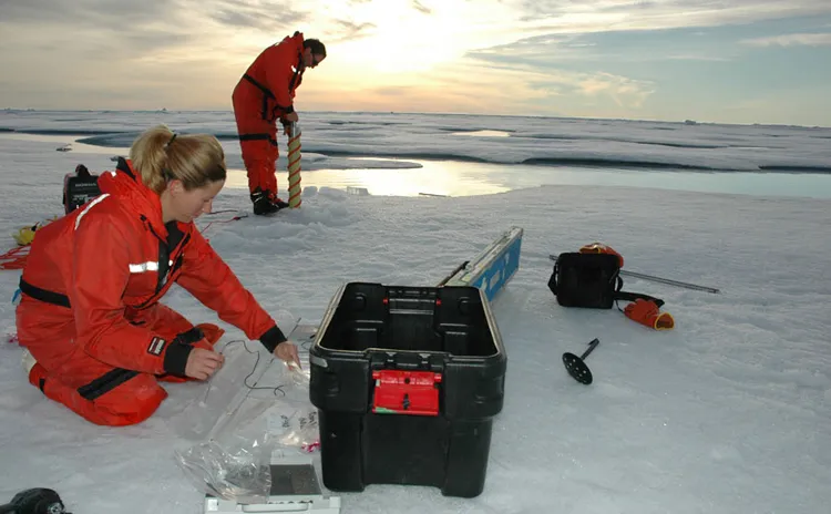 A marine biologist measures the temperature of an ice core.
