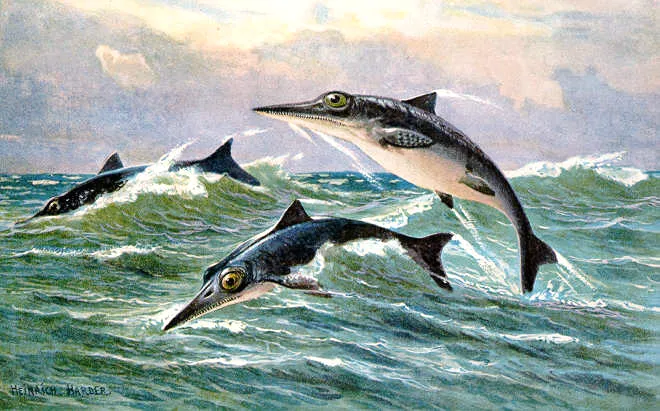 ichthyosaurs frolic in the waves