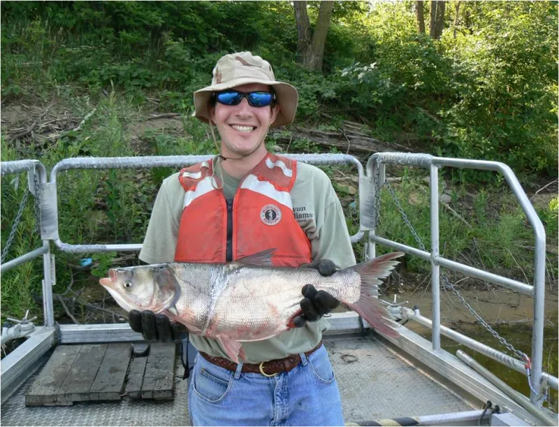 USFW Biologist Jason Goldberg, on a boat, holding an Asian carp 